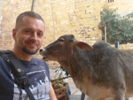 Photos