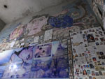 Photos