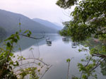 Photos