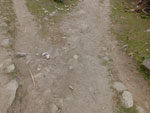 2017-04-22_12-31-11_S0719122.jpg