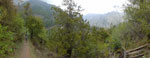 2017-04-22_13-58-31_S0879149-pan.jpg