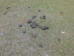 2017-04-23_14-02-38_S0651116.jpg