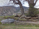 2017-04-24_17-27-59_DSCF5113-hdr.jpg