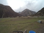 2017-04-26_16-02-58_YDXJ2922.jpg