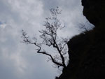 2017-05-03_12-18-38_S0660105.jpg