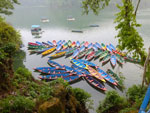 Photos