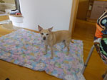 Photos