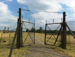 Photos