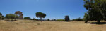 2017-07-05_12-14-34_S0037003-pan.jpg