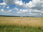 Photos