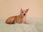 Photos