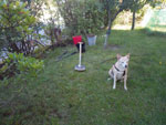 Photos