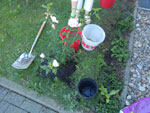 2017-08-23_17-52-10_RIMG0041.jpg