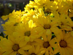 2017-08-23_19-04-34_RIMG0064.jpg