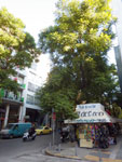 2017-09-12_08-32-51_RIMG1106.jpg