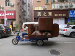 Photos