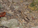 2017-10-13_17-41-57_DSCF4156.jpg