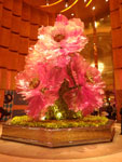 2017-10-16_00-01-33_RIMG3332.jpg