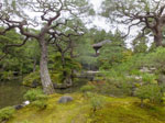 2017-10-18_14-57-26_DSCF6263-hdr.jpg