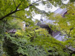 2017-10-18_16-43-13_DSCF7111-hdr.jpg