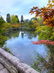 2017-10-18_16-51-02_DSCF7137-hdr.jpg