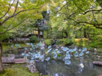 2017-10-18_16-58-57_DSCF7163-hdr.jpg