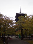 2017-10-19_15-58-47_RIMG3635.jpg