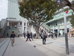 2017-10-24_09-24-55_RIMG3915.jpg
