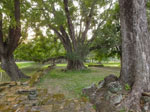 2017-11-07_17-25-42_DSCF1457-hdr.jpg