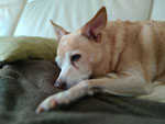 Photos
