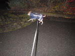 Photos
