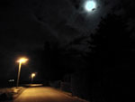 Photos