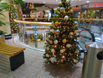 Photos
