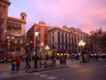 Photos