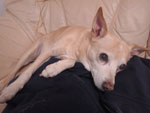 Photos