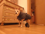 Photos
