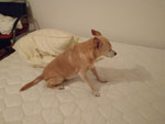 Photos