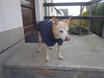 Photos