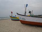 Photos