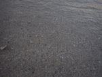 2018-05-07_18-28-33_RIMG2681.jpg