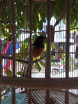 2018-05-08_17-19-26_RIMG2871.jpg