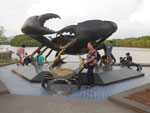 Photos