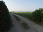 2018-06-04_18-12-57_P1220375.jpg