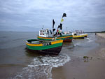 Photos