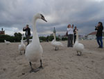 Photos