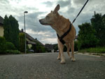 Photos