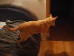 Photos