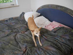 Photos