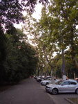 2018-07-13_20-43-55_RIMG4301.jpg