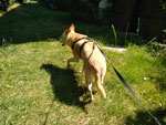 Photos